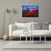 Manyetix Gelincik Esintileri Posteri